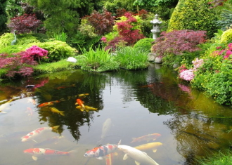 Garden Ponds